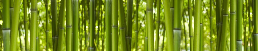 Küchenmotiv rw-04 bambus