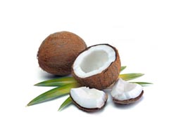 Küchenmotiv sp-05 coconut