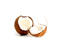 Küchenmotiv sp-06 coconut2